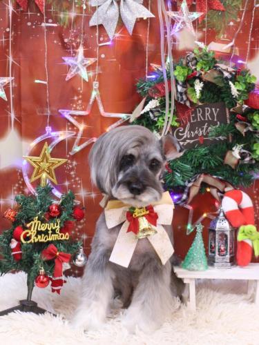 20231230ティノくん